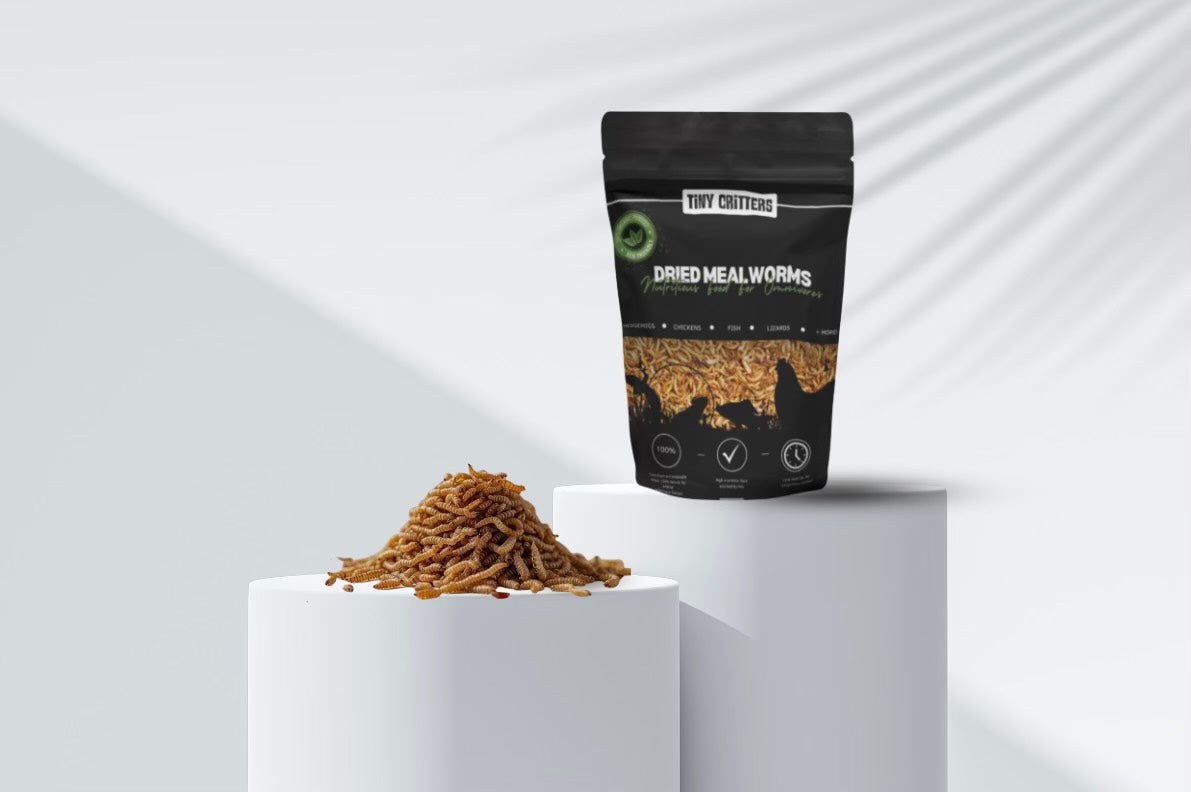 (5 LBS) Tiny Critters Dried Meal Worms
